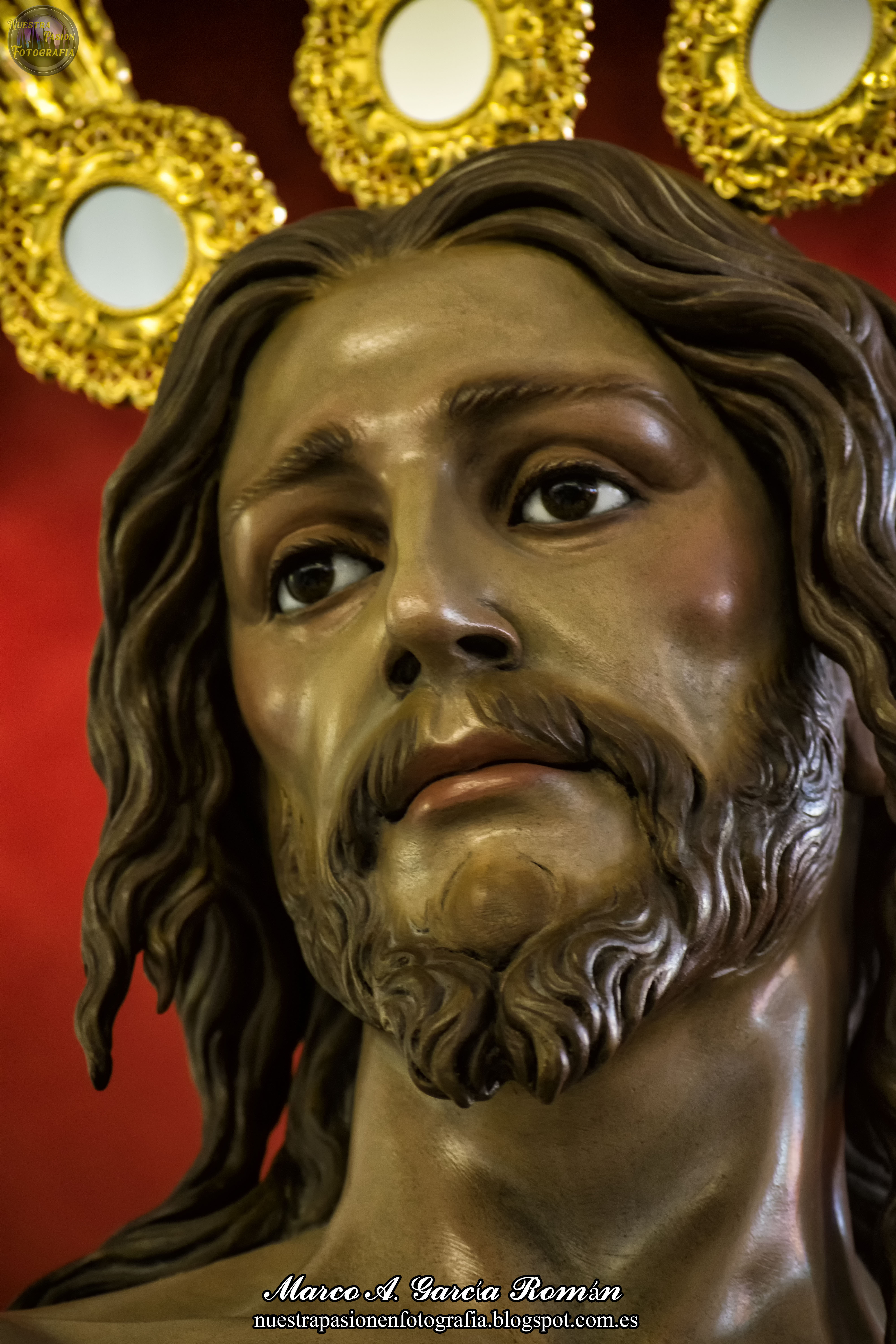 Señor de la Vida, por Marco A. García