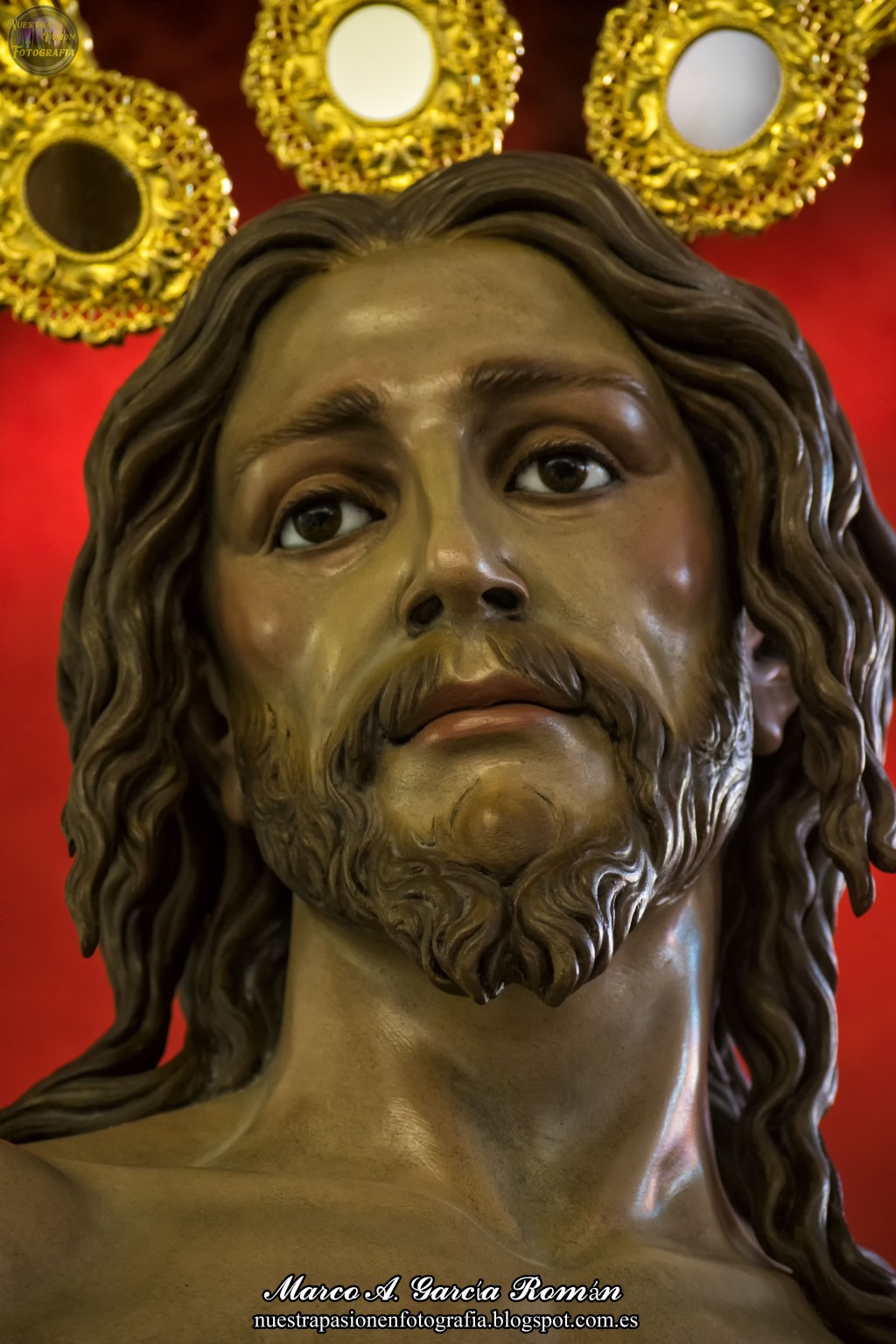 Señor de la Vida, por Marco A. García